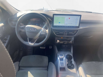 Ford Kuga Gebrauchtwagen Ford Kuga Gebrauchtwagen