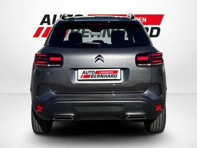 Citroën C5 Aircross Tageszulassung