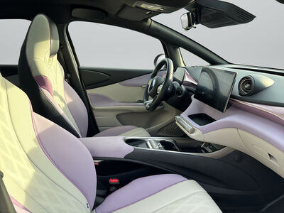 BYD Dolphin Gebrauchtwagen BYD Dolphin Gebrauchtwagen