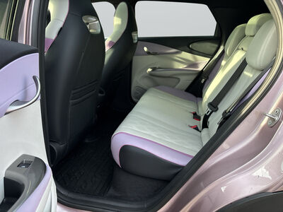 BYD Dolphin Gebrauchtwagen BYD Dolphin Gebrauchtwagen