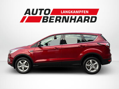 Ford Kuga Gebrauchtwagen