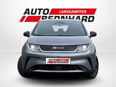 BYD Dolphin Gebrauchtwagen