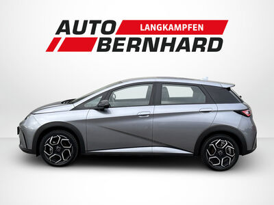 BYD Dolphin Gebrauchtwagen