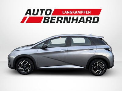 BYD Dolphin Gebrauchtwagen