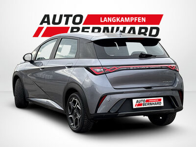 BYD Dolphin Gebrauchtwagen