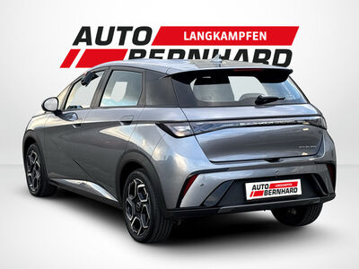 BYD Dolphin Gebrauchtwagen