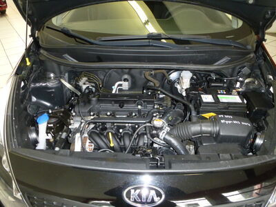 KIA Rio Gebrauchtwagen KIA Rio Gebrauchtwagen