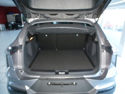 Mitsubishi Grandis Neuwagen