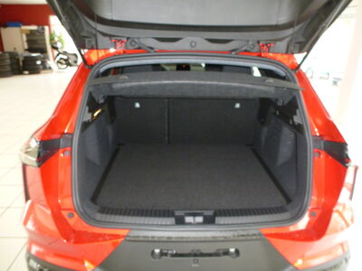 Mitsubishi Grandis Neuwagen