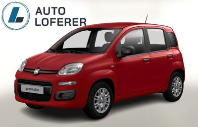 Fiat Panda Tageszulassung