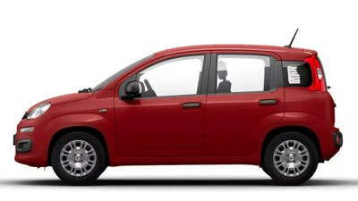 Fiat Panda Tageszulassung