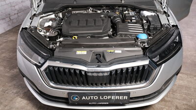 Skoda Octavia Gebrauchtwagen