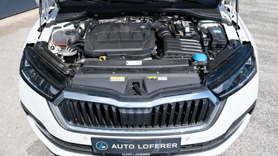 Skoda Octavia Gebrauchtwagen