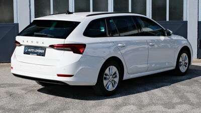 Skoda Octavia Gebrauchtwagen