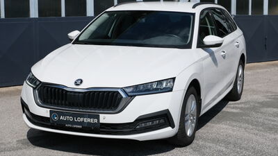 Skoda Octavia Gebrauchtwagen