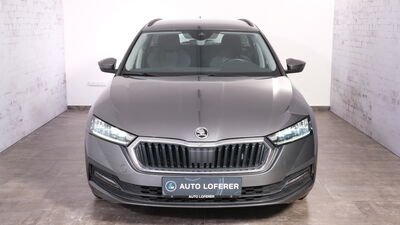 Skoda Octavia Gebrauchtwagen Skoda Octavia Gebrauchtwagen