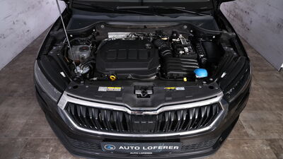 Skoda Karoq Gebrauchtwagen Skoda Karoq Gebrauchtwagen