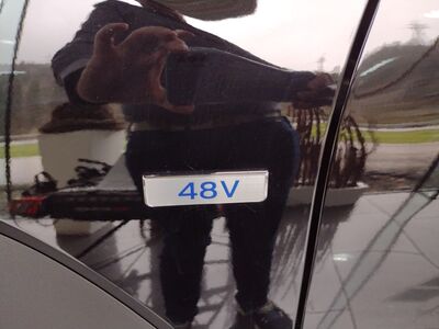 Hyundai Kona Tageszulassung