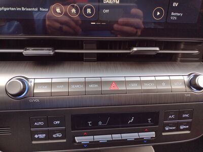 Hyundai Kona Tageszulassung