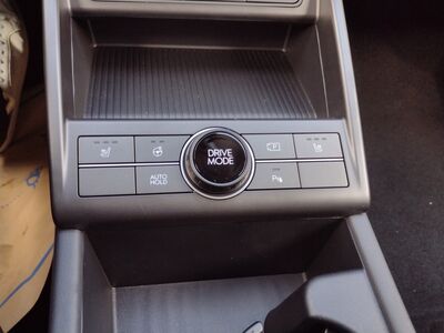 Hyundai Kona Tageszulassung