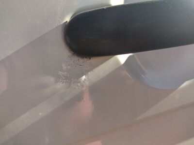 VW Transporter T6 Gebrauchtwagen VW Transporter T6 Gebrauchtwagen