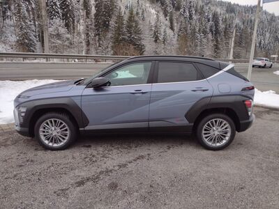 Hyundai Kona Tageszulassung