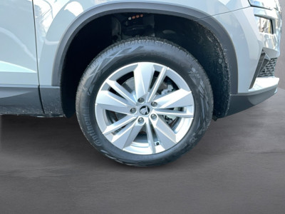 Skoda Karoq Gebrauchtwagen Skoda Karoq Gebrauchtwagen