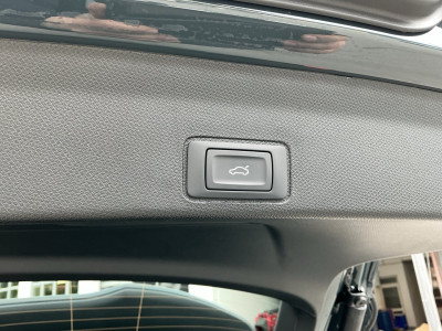 Cupra Terramar Gebrauchtwagen