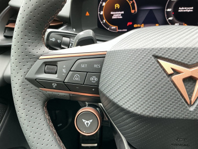 Cupra Terramar Gebrauchtwagen