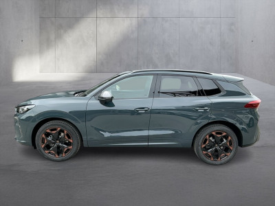 Cupra Terramar Gebrauchtwagen