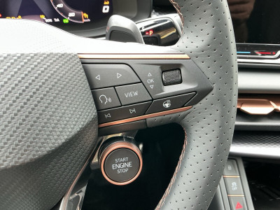 Cupra Terramar Gebrauchtwagen