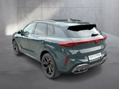 Cupra Terramar Gebrauchtwagen
