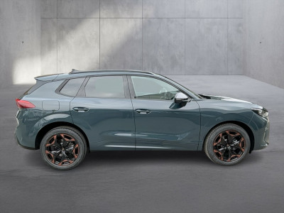 Cupra Terramar Gebrauchtwagen