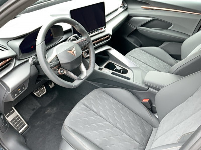 Cupra Terramar Gebrauchtwagen