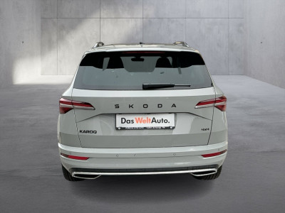 Skoda Karoq Gebrauchtwagen