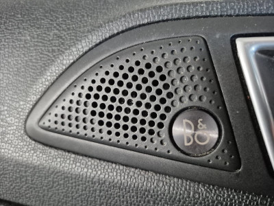Ford EcoSport Gebrauchtwagen