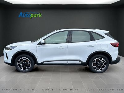 Ford Kuga Vorführwagen