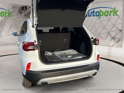 Ford Kuga Vorführwagen Ford Kuga Vorführwagen