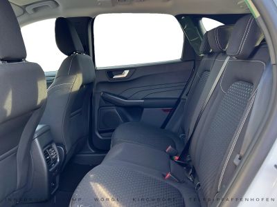 Ford Kuga Vorführwagen Ford Kuga Vorführwagen