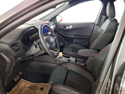 Ford Kuga Vorführwagen Ford Kuga Vorführwagen