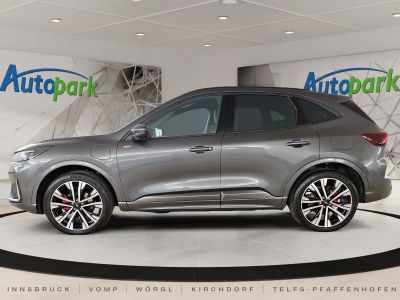 Ford Kuga Vorführwagen Ford Kuga Vorführwagen