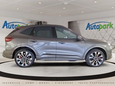 Ford Kuga Vorführwagen Ford Kuga Vorführwagen