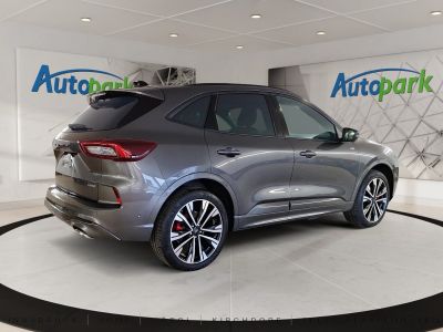 Ford Kuga Vorführwagen Ford Kuga Vorführwagen