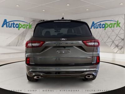 Ford Kuga Vorführwagen Ford Kuga Vorführwagen