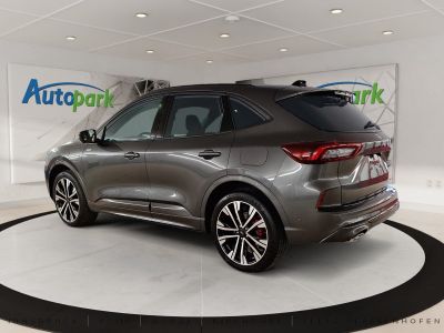 Ford Kuga Vorführwagen Ford Kuga Vorführwagen