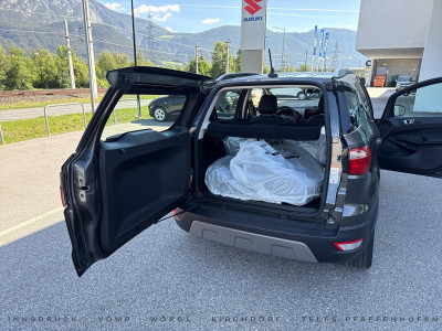 Ford EcoSport Gebrauchtwagen