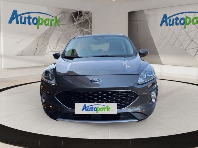 Ford Kuga Gebrauchtwagen