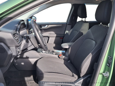 Ford Kuga Gebrauchtwagen