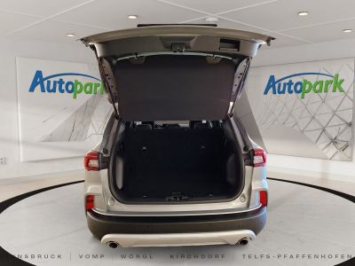 Ford Kuga Gebrauchtwagen