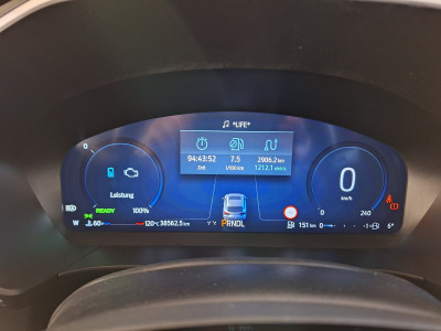 Ford Kuga Gebrauchtwagen